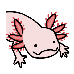 [LINEスタンプ] ウーパールーパーの日常