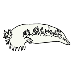 [LINEスタンプ] ウミウシ〜ず 