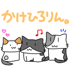 [LINEスタンプ] 【ねこねこ】かけひろりん。【猫猫】