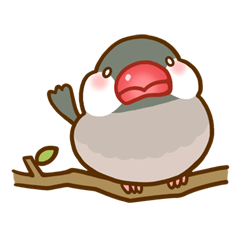[LINEスタンプ] ぷくぷく文鳥 fetchpriority=high