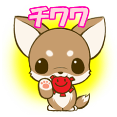 [LINEスタンプ] チワワたん