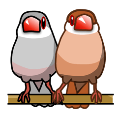[LINEスタンプ] 文鳥スタンプ シナモン＆シルバー 
