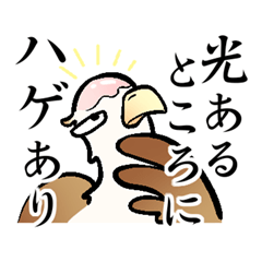 [LINEスタンプ] ハゲてるハゲワシ