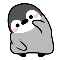 [LINEスタンプ] ぺんぎんのマシュー 