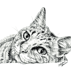 [LINEスタンプ] Cats ＆ Dogs 1 - 山田貴裕 作品集 