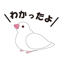 [LINEスタンプ] 文鳥と一緒