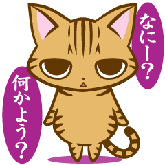 [LINEスタンプ] 根暗ちゃとらねこ fetchpriority=high