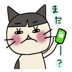 [LINEスタンプ] くまおちゃん 