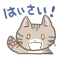 [LINEスタンプ] 沖縄弁なイリオモテヤマネコさん