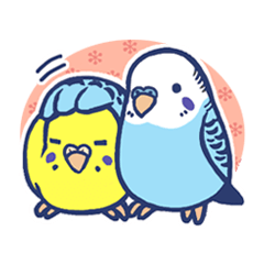 [LINEスタンプ] セキセイインコだらけ
