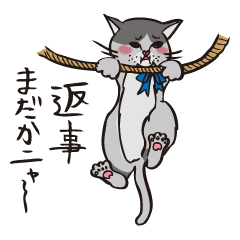 [LINEスタンプ] あなたのニャコ(猫) 