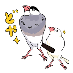 [LINEスタンプ] 文鳥の毎日 
