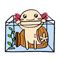[LINEスタンプ] ウーパールーパー「うーたんの気持ち♪」