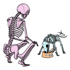 [LINEスタンプ] スーさんと犬 fetchpriority=high