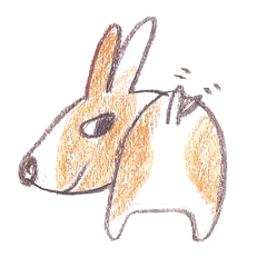 [LINEスタンプ] Toast, the lovely Corgi！
