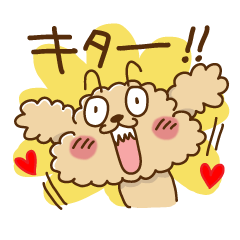 [LINEスタンプ] トイプーのぷう太郎 その2 fetchpriority=high