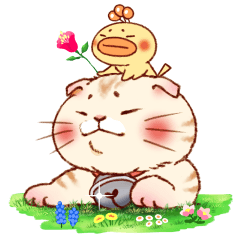 [LINEスタンプ] みみコロ！ 