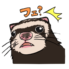 [LINEスタンプ] 仲良しフェレットのチャチャとクロ 