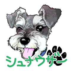 [LINEスタンプ] ミニチュアシュナウザー 