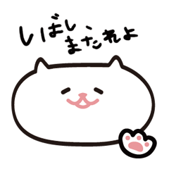 [LINEスタンプ] しろでぶねこ 