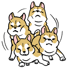 [LINEスタンプ] 哺乳類イヌ科柴犬 