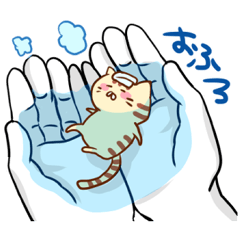 [LINEスタンプ] 手乗りにゃんこ 