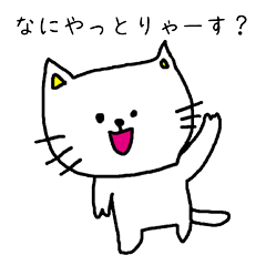 [LINEスタンプ] 名古屋弁を話したがる猫 fetchpriority=high