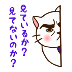 [LINEスタンプ] ニャンですか？なんですか？ 