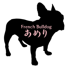 [LINEスタンプ] フレンチブルドッグあめりの生活 