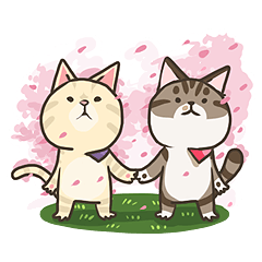 [LINEスタンプ] Adventure Cats fetchpriority=high
