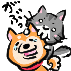 [LINEスタンプ] きゃわわ！柴犬とネコ！ 