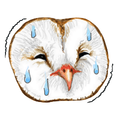 [LINEスタンプ] メンフクロウのギズモ 