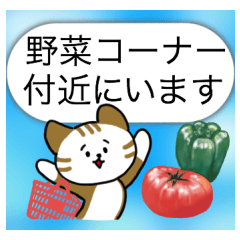 [LINEスタンプ] Mr.and Mrs.Cat 
