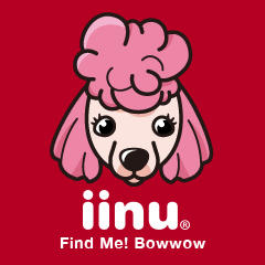 [LINEスタンプ] iinu プードル fetchpriority=high