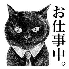 [LINEスタンプ] ねこ！ねこ！ねこ！ 