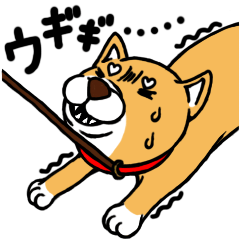 [LINEスタンプ] 柴犬もふろう1000% fetchpriority=high