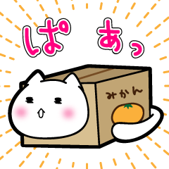 [LINEスタンプ] だんぼーるねこ。 