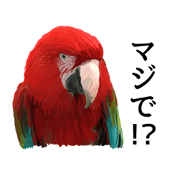 [LINEスタンプ] リアルな生き物 