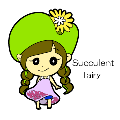 [LINEスタンプ] Succulent fairy(多肉植物の妖精) 
