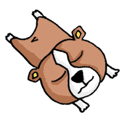 [LINEスタンプ] チェロ Ver1 ボストンテリア 