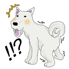 [LINEスタンプ] わんこたちの喜怒哀楽