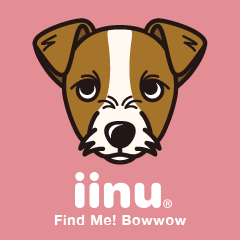 [LINEスタンプ] iinu ジャック・ラッセル・テリア 