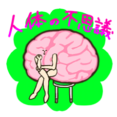 [LINEスタンプ] 人体の不思議 