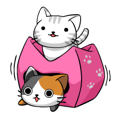 [LINEスタンプ] こねこにゃんず 