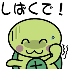 [LINEスタンプ] 関西弁かめかめ 