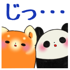 [LINEスタンプ] パンダとレッサーパンダ 