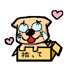 [LINEスタンプ] 捨て犬。