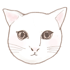 [LINEスタンプ] 猫くんのエモート 