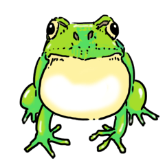 [LINEスタンプ] マニアックシリーズ(蛙) 