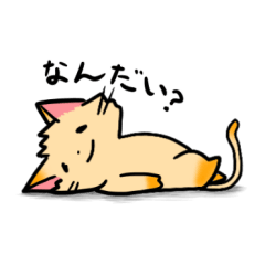 [LINEスタンプ] ほちゃねこ 